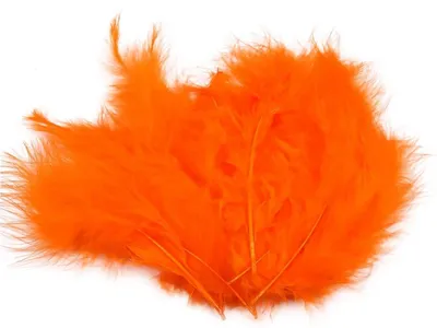 Produktbild von 15-20 Flaumfedern 09-17cm gefärbt Bastelfedern Schmuckfedern Feder Farbwahl, Größe:09 - 17 cm, Farbe:01 orange