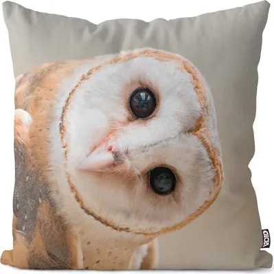 Produktbild von VOID Eule Vogel Wildtier Kissenbezug Kissenhülle Sofakissen Kissen Deko Outdoor-Kissen Dekokissen