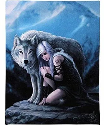 Produktbild von Malen nach Zahlen, 40 x 50 cm, Motiv: Mädchen und Wolf