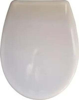 Obrázok produktu pre Grohe WC sedadlo Bau Ceramic, alpská biela, 1 ks.