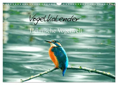 Produktbild von Vogelkalender (Wandkalender 2027 DIN A3 quer), CALVENDO Monatskalender