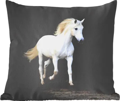 Produktbild von MuchoWow® Zierkissen Sofakissen Wohnzimmer Dekokissen 60x60 cm Pferde - Sand - Dunkel - Sitzfläche - Foto Polster