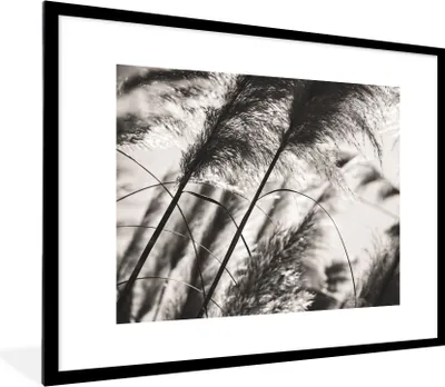 Produktbild von MuchoWow® Gerahmtes Poster Pampasgras - Schwarz - Weiß - Pflanze 80x60 cm - Poster mit Schwarzem Bilderrahmen Wandposter Rahmen Foto Bilder - Schlafzimmer-Dekorationen - Fotoposter