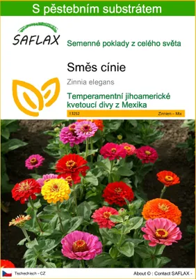 Obrázek produktu pro SAFLAX - Směs cínie - Zinnia elegans - 50 Semena - S pěstebním substrátem bez klíčků