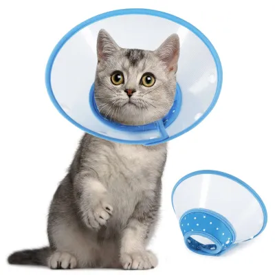 Produktbild von Verstellbarer Schutzkragen für Katzen und kleine Hunde