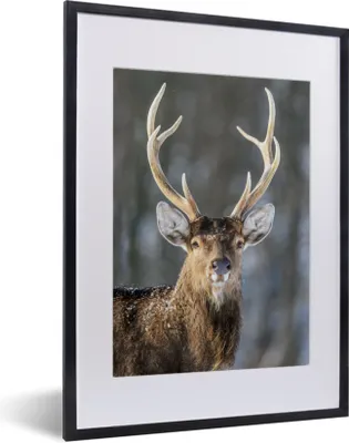 Produktbild von MuchoWow® MuchoWow® Gerahmtes Poster Hirsch - Weiß - Braun - Geweih 30x40 cm - Poster mit zchwarzem Bilderrahmen - Wandposter Schlafzimmer