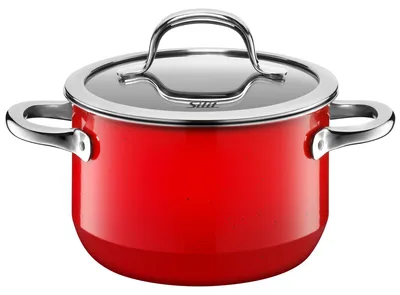 Immagine prodotto di Silit Fleischtopf mit Deckel  Ø 16 cm Passion Red 3201112979 4004633297055