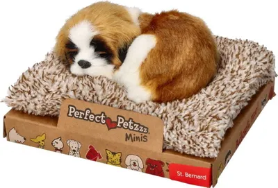 Produktbild von San Bernardo Welpe 13 cm klein Perfect Petzzz