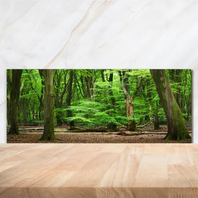 Produktbild von Tulup® Küchenrückwand Spritzschutz aus Glas -125x50 -Spritzschutz auf gehärtetes Glas Deko Landschaften Niederlande Wald