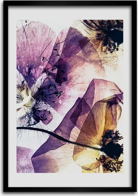 Produktbild von Bild - Bilderrahmen - Foto - 70 cm x 100 cm - MDF - Rahmen - Wandkunst - Maki