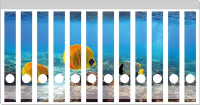 Produktbild von Wallario Ordnerrücken Sticker, selbstklebend für schmale Ordner, 12 Stück, Motiv Exotische Fische im Meer