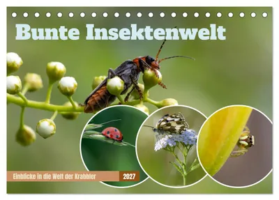 Produktbild von Bunte Insektenwelt (Tischkalender 2027 DIN A5 quer), CALVENDO Monatskalender