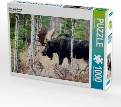 Produktbild von CALVENDO Puzzle Der Vagabund | 1000 Teile Lege-Größe 64x48cm Foto-Puzzle für glückliche Stunden