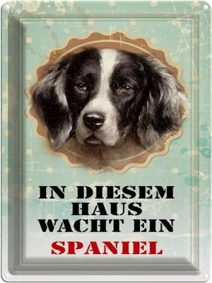 Produktbild von vianmo Blechschild 40x30 cm Hund in diesem Haus wacht ein Spaniel