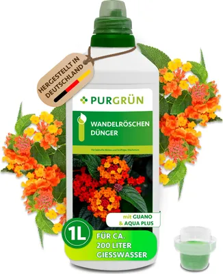 Produktbild von Purgrün Wandelröschen-Dünger 1 Liter,