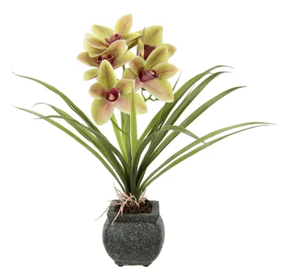 Kunstorchidee 40 cm mit Topf, Phalaenopsis, Zimmerpflanze
