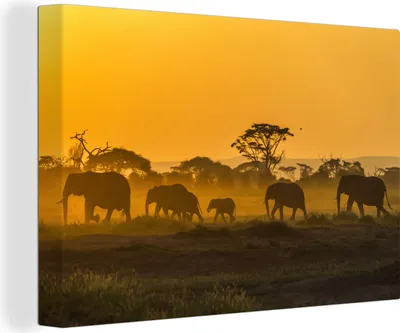 Produktbild von OneMillionCanvasses® - Leinwandbilder - 140x90 cm, Elefantenherde bei Sonnenaufgang, Wandbilder Kunstdruck Wanddekoration - Foto auf Leinwand - Gemälde auf Holzrahmen