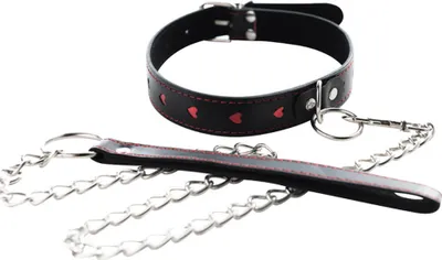 Zdjęcie produktu dla Collar with detachable leash