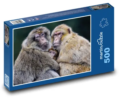 Zdjęcie produktu dla Puzzle 500 Rodzina makaków w przyrodzie - martinpuzzle