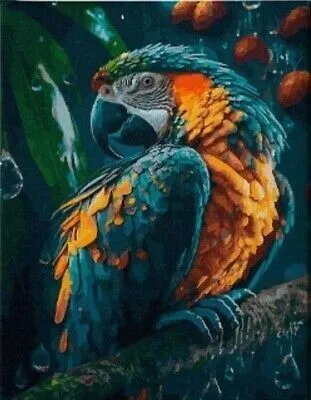 Immagine prodotto di 40x30 cm Pittura a diamante fai da te Pittura a diamante Pappagallo
