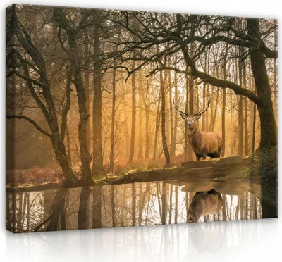 Produktbild von Leinwandbild Hirsch Tiere Wald Natur 60x40 cm XXL Modern Canvas Leinwand Bilder Leinwandbilder Wandbilder Kunstdruck Bild auf Leinwand Aufhängefertig