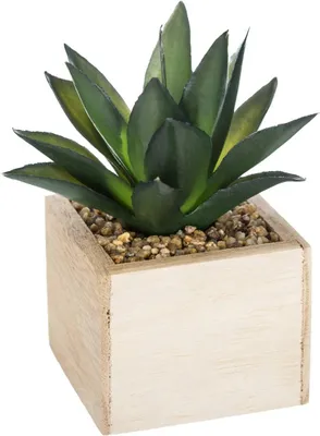 Produktbild von Künstliche pflanze h14cm  - Atmosphera créateur d'intérieur