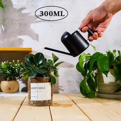Produktbild von 1 Stück Gießkanne Edelstahl Metall langer Mund Mini Wasserkocher Gartenarbeit Bewässerung 300 ml für Topfpflanzen und zum Aufhängen (Schwarz)