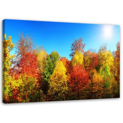 Produktbild von Leinwandbild herbstbäume 120x80 cm Feeby farbe wandbild bereit zum aufhängen