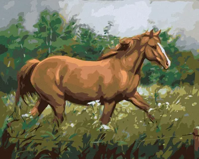 Produktbild von Zuty - Malen nach Zahlen - BRAUNES PFERD GRASEND IN WALDNÄHE, 40x50 cm, mit Keilrahmen (bereits gespannt)