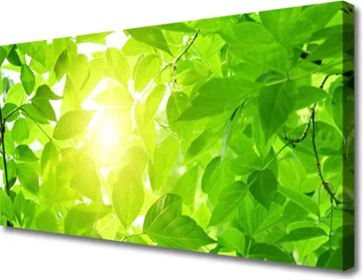Produktbild von Tulup Leinwand-Bilder 100x50 Wandbild Canvas Kunstdruck Blätter Pflanzen