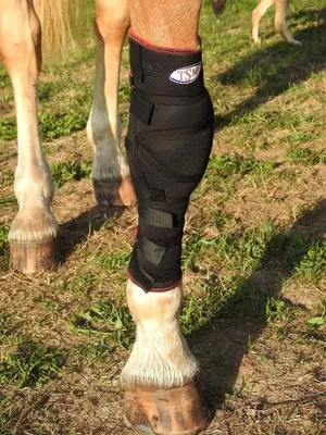 Produktbild von 7265 TSM vet-Reha Polsterbandage Vorderfußwurzelgelenk, links, Pferdegamaschen Größe - L