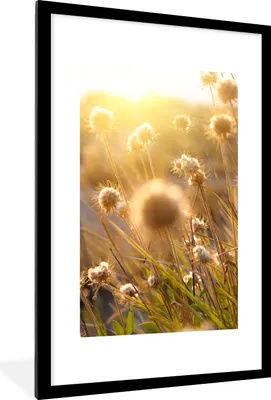 Produktbild von MuchoWow® Gerahmtes Poster Pflanzen - Natur - Blumen - Sonne - Horizont 60x90 cm - Poster mit Schwarzem Bilderrahmen Wandposter Rahmen Foto Bilder - Dekoration - Wandposter Wohnzimmer - Hochwertig