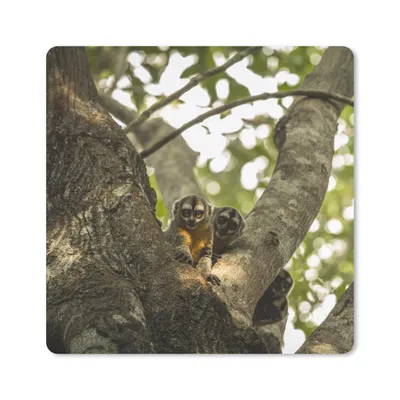 Produktbild von MuchoWow® Mauspad Mousepad Kleine Tiere in einem Baum 20x20 cm - Mousepads - Maus Mat - Pad - Mausunterlage - Desk Mat - Bureauartikeln