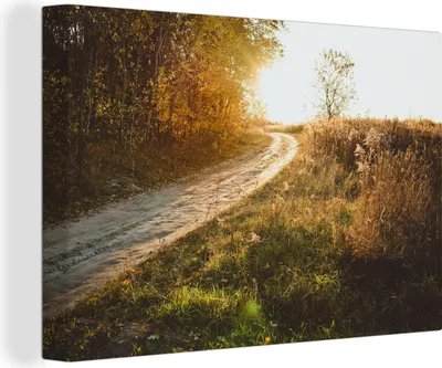 Produktbild von OneMillionCanvasses® - Leinwandbilder - 140x90 cm, Weg - Natur - Baum, Wandbilder Kunstdruck Wanddekoration - Foto auf Leinwand - Gemälde auf Holzrahmen