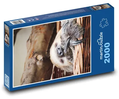 Obrázek produktu pro martinpuzzle - Puzzle 2000 - Spící lenochod