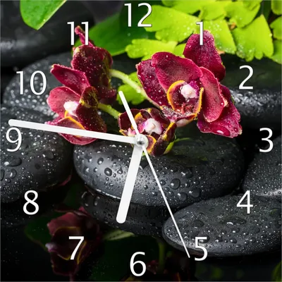 Produktbild von Wallario Design Wanduhr Dunkelrote Orchideen-Blüte auf schwarzen Steinen mit Regentropfen aus Echtglas, Größe 20 x 20 cm