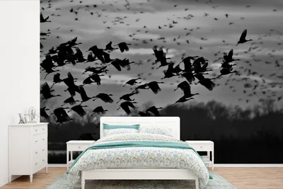 Produktbild von Fotobehang Schwarz-Weiß - Vogelgruppe bei Sonnenuntergang - 420 cm breit x 280 cm hoch - Schwarzweiß - Leinwand