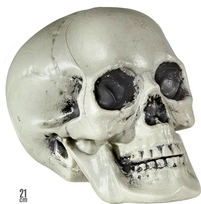 Produktbild von Totenkopf Schädel aus Kunststoff - Halloween Schädel - Dekoration