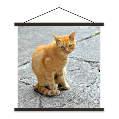 Produktbild von MuchoWow® Textilposter Katze - Rot - Straße - Mädchen - Kinder - Jungen - Kind 120x120 cm mit schwarzem Rahmen - Aufhängungsset