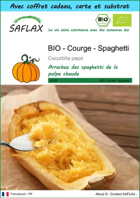 Image de SAFLAX Ensemble-cadeau -- Courge - Spaghetti - 5 graines - Cucurbita