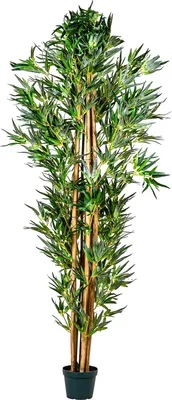 Produktbild von PLANTASIA Kunstpflanze Bambus Strauch 190 cm