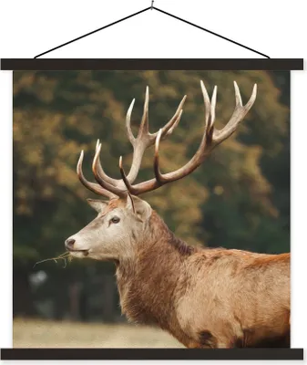 Produktbild von MuchoWow® Textilposter Hirsche - Gras - Wald - Geweih 60x60 cm mit schwarzem Rahmen - Posteraufhänger