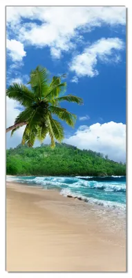 Produktbild von Wallario selbstklebende Türtapete 93 x 205 cm mit Schutzlaminat - Urlaub auf den Seychellen unter Palmen am Sandstrand