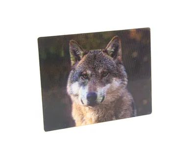 Produktbild von 3 D Magnet Wolf, 9 x 7 cm, Tiere Waldtier, Kühlschrankmagnete Tier Wölfe