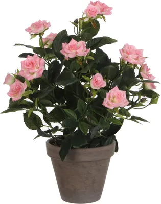Produktbild von Mica Decorations Rosenstrauch Kunstpflanze im Blumentopf Stan - H33 x Ø25 cm - Rosa