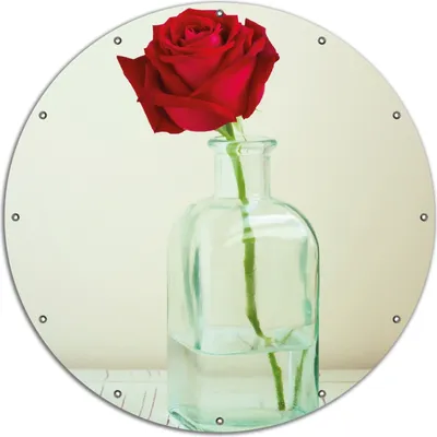 Produktbild von Wallario rundes Outdoor-Poster für Garten oder Balkon, Motiv Rote Rose in Glasvase, 120 cm Durchmesser