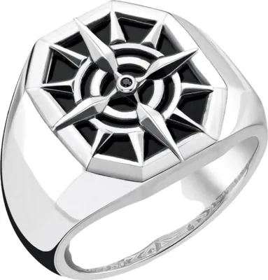 Produktbild von Thomas Sabo Signet Rings TR2274-641-11 Ring, Ringgröße:66