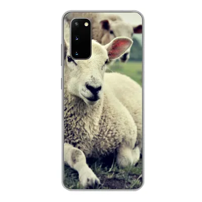 Produktbild von MuchoWow® Handyhülle Schutzhülle Hülle für Samsung Galaxy S20 Schaf - Lamm - Gras Silikon Softcase Handy Hülle - Bild
