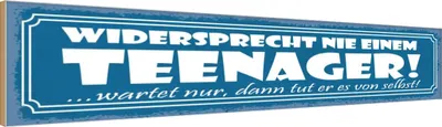 Produktbild von vianmo Holzschild 10x46 cm widersprecht nie einem Teenager Spruch Zitat
