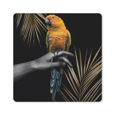 Produktbild von MuchoWow® Mauspad Mousepad Vogel - Papagei - Hand - Farn 30x30 cm - Mousepads - Maus Mat - Pad - Mausunterlage - Gaming